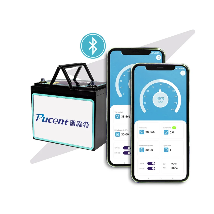 12v 24v 36v 48v 50ah Cheap Lifepo4 Batteries Vehicle Lithium Ion Battery 25ah 30ah 40ah BMS Battery Box Lifepo4