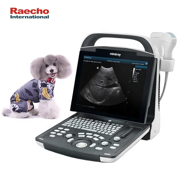 Hot Selling Mindray DP10 Vet Ultrasound Machine Ultrasound Scanner for Veterinary