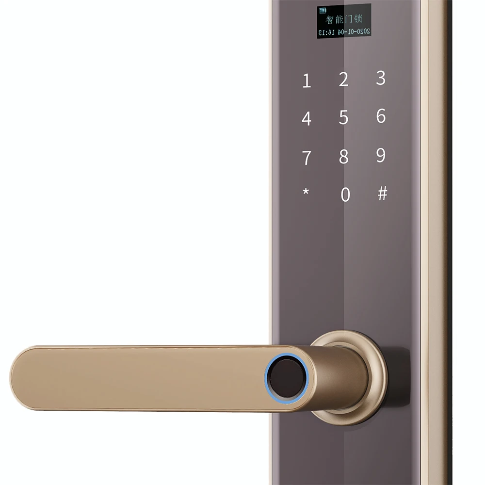 
Home Smart Lock Stay Hotel Fingerprint Lock Security Door Electronic Remote Open Home Intelligent Lock Fingerprint Padlock 3.5kg 