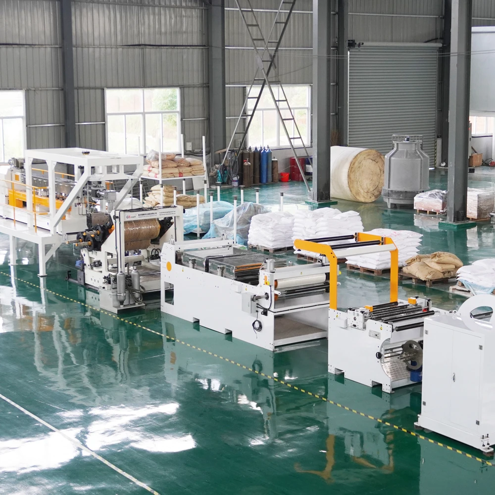 Plastic Pet Sheet Extrusion Line Making Machine Pet Sheet Roll Extruder Production Line