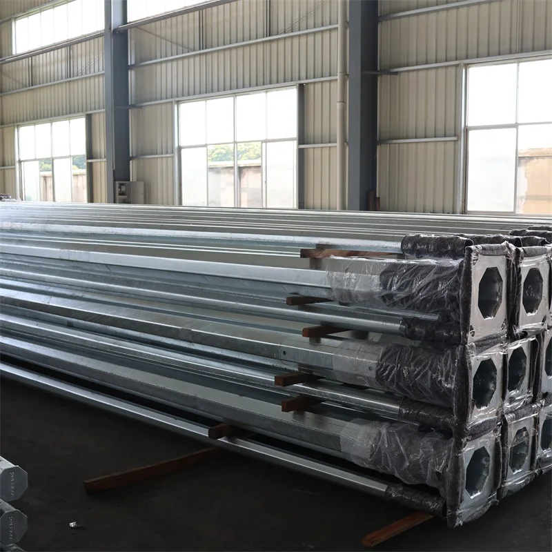 New Arrival Waterproof material Street lamp poles Spray molding process Hot Dip Galvanized 7m Single arm Street light pole
