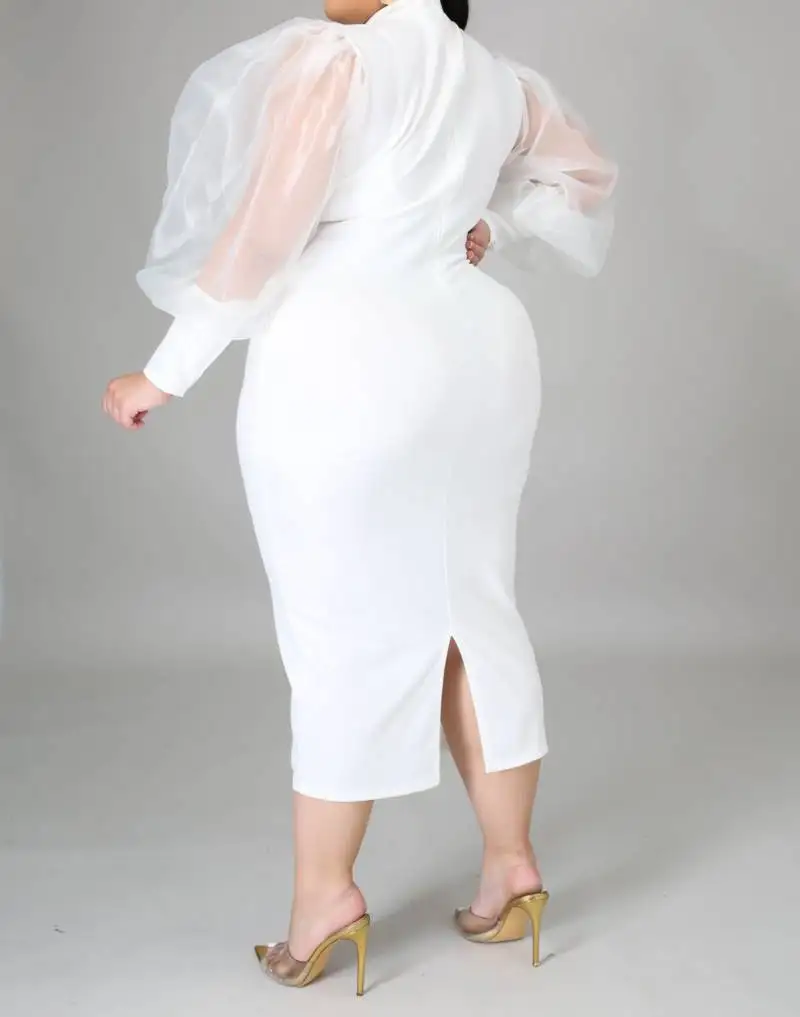 Plus size women long sheer sleeve  mock neck back zipper closure stretch dress STPSD009
