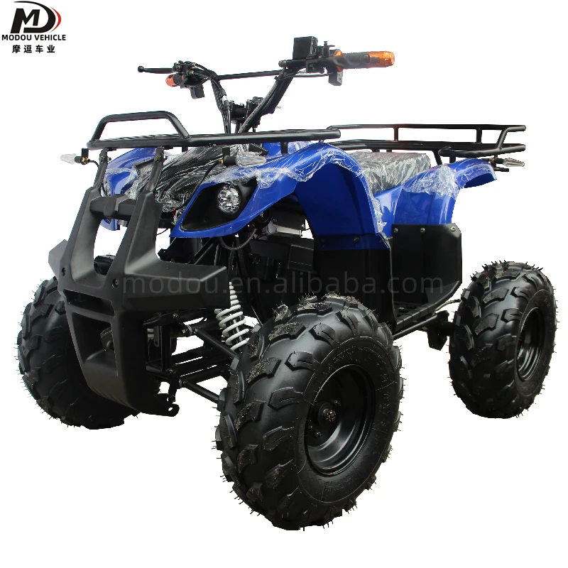 Adult children electric ATV 500W small atv entertainment