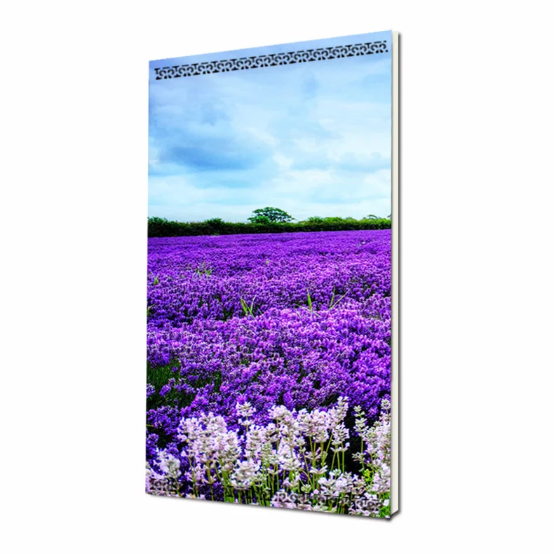 Настраиваемые инфракрасные обогревающие панели, настенный Электрический углеродный обогреватель для комнаты