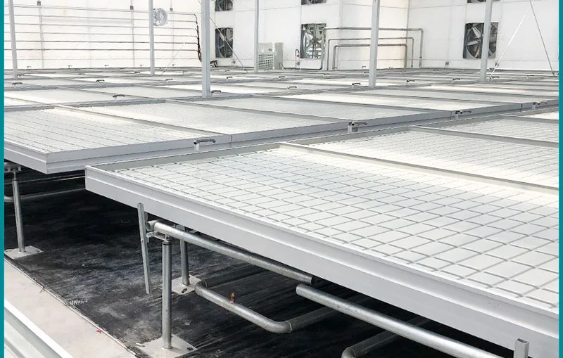 Fully automatic agricultural greenhouse netting price per roll greenhouses agricultural