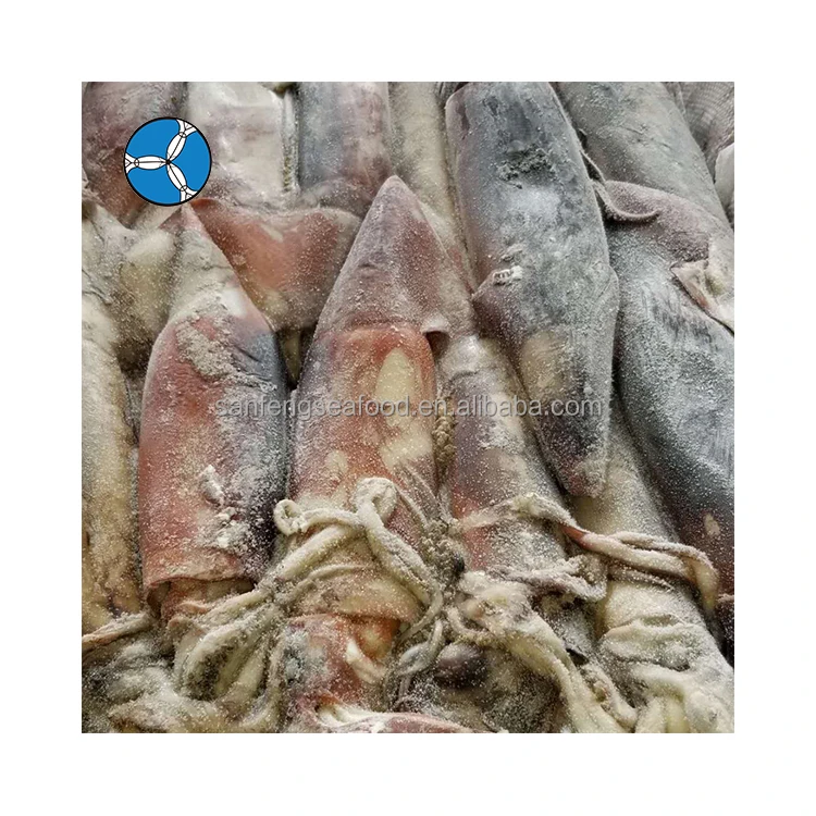 Hot Sale Sanfeng Seafood Bulk Fresh Frozen Dry Squid In China Export Dried Squid Slice Price