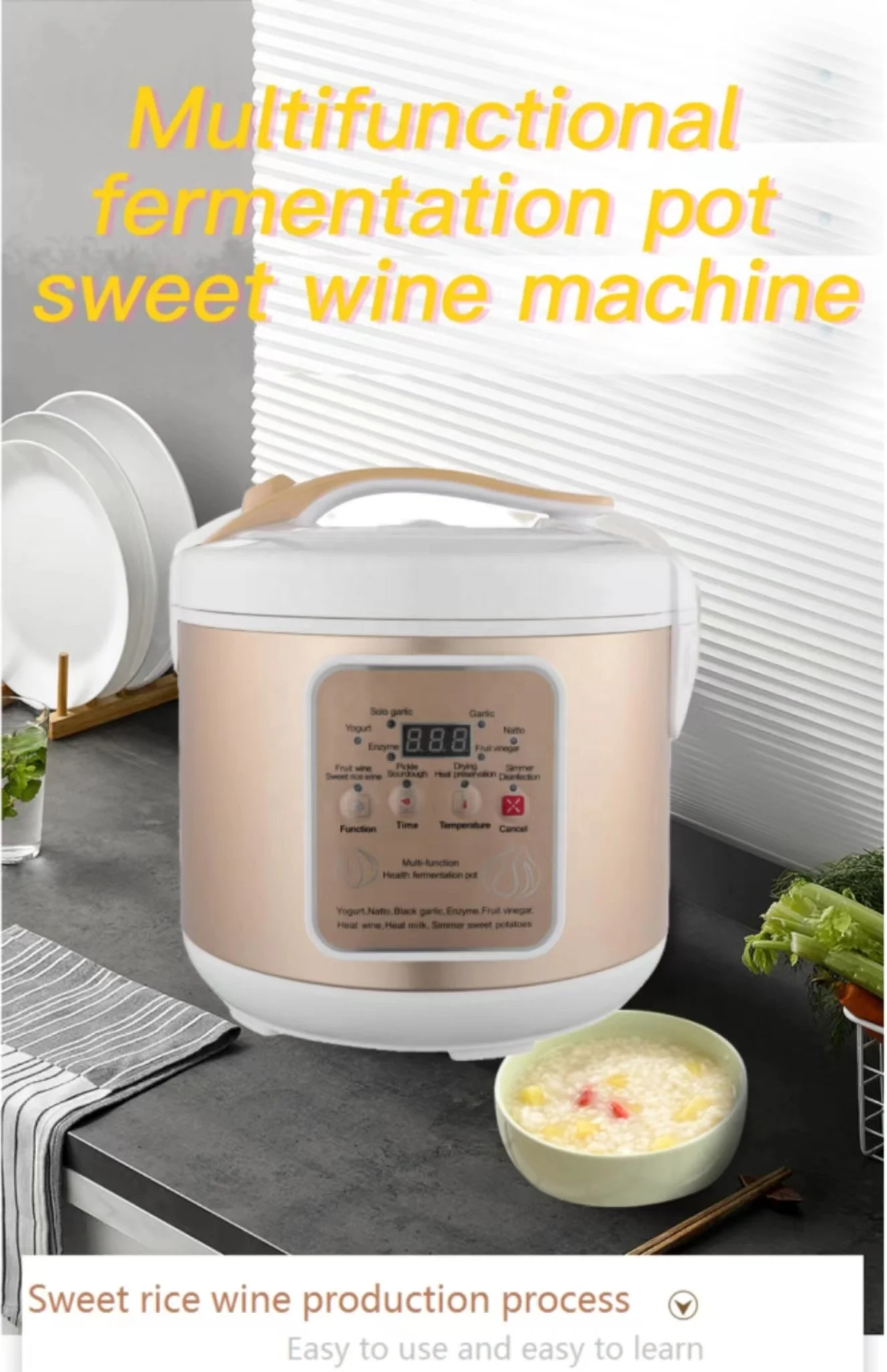 AZK286 lowest price with  Multi Functional Black Garlic fermetner Cooker / Natto Fermenter/ Yogourt maker