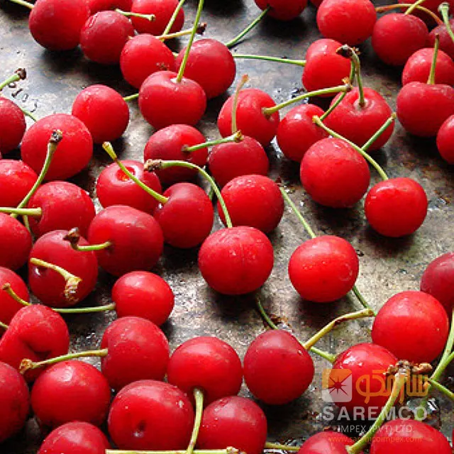  Свежие Вишни греческие вишни на экспорт сладкая