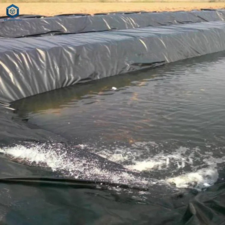 HDPE Geomembrane Aquaculture Farm Plastic Fish Pond