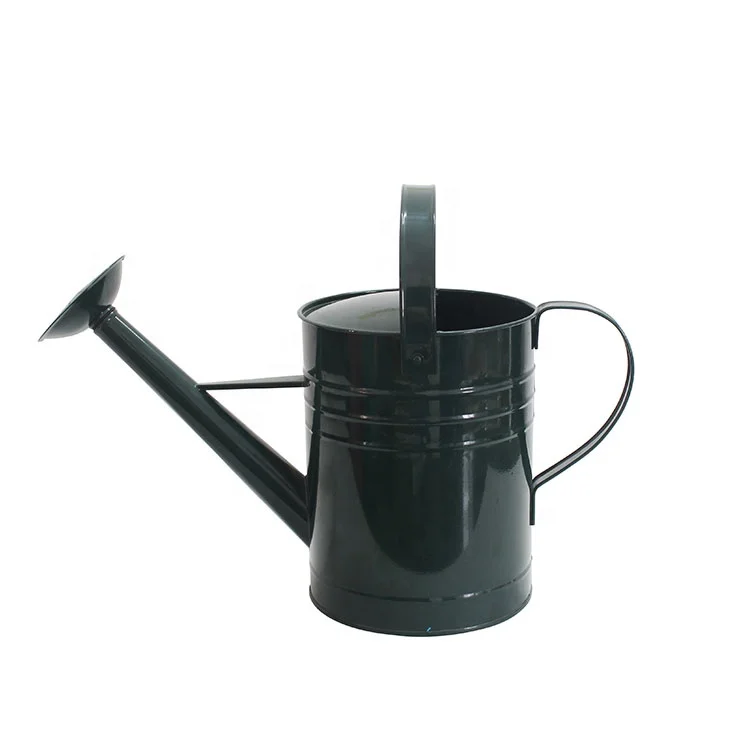 
Dark Green 3L Galvanized Steel Metal Watering Can for Outdoor Plants 