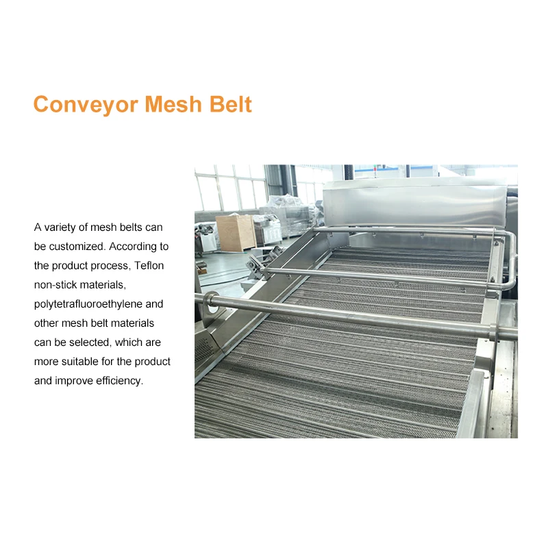 Banana chip fryer, continuous fryer industry