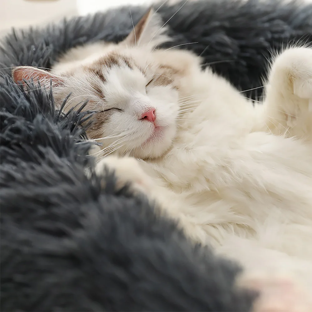 Wholesale Upgraded Soft Luxury Round Designer Plush Dog Cat Pet Beds  Washable Pet Cat Dog Bed