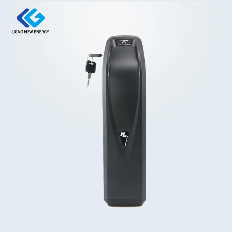 Factory Supply LiFePO4 Battery Pack 24V 50ah Lithium Battery Electric Bicycle Battery