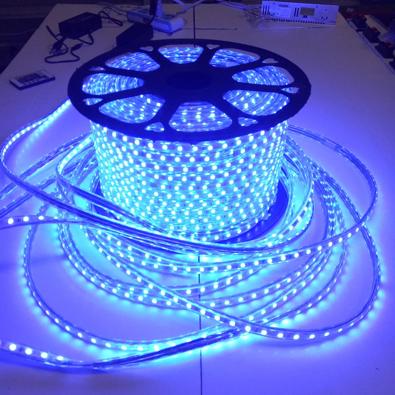  SMD 5050 RGB IP68 Водонепроницаемая Светодиодная гибкая лента 220 В водонепроницаемый 220V гибкие светодиодные полосы