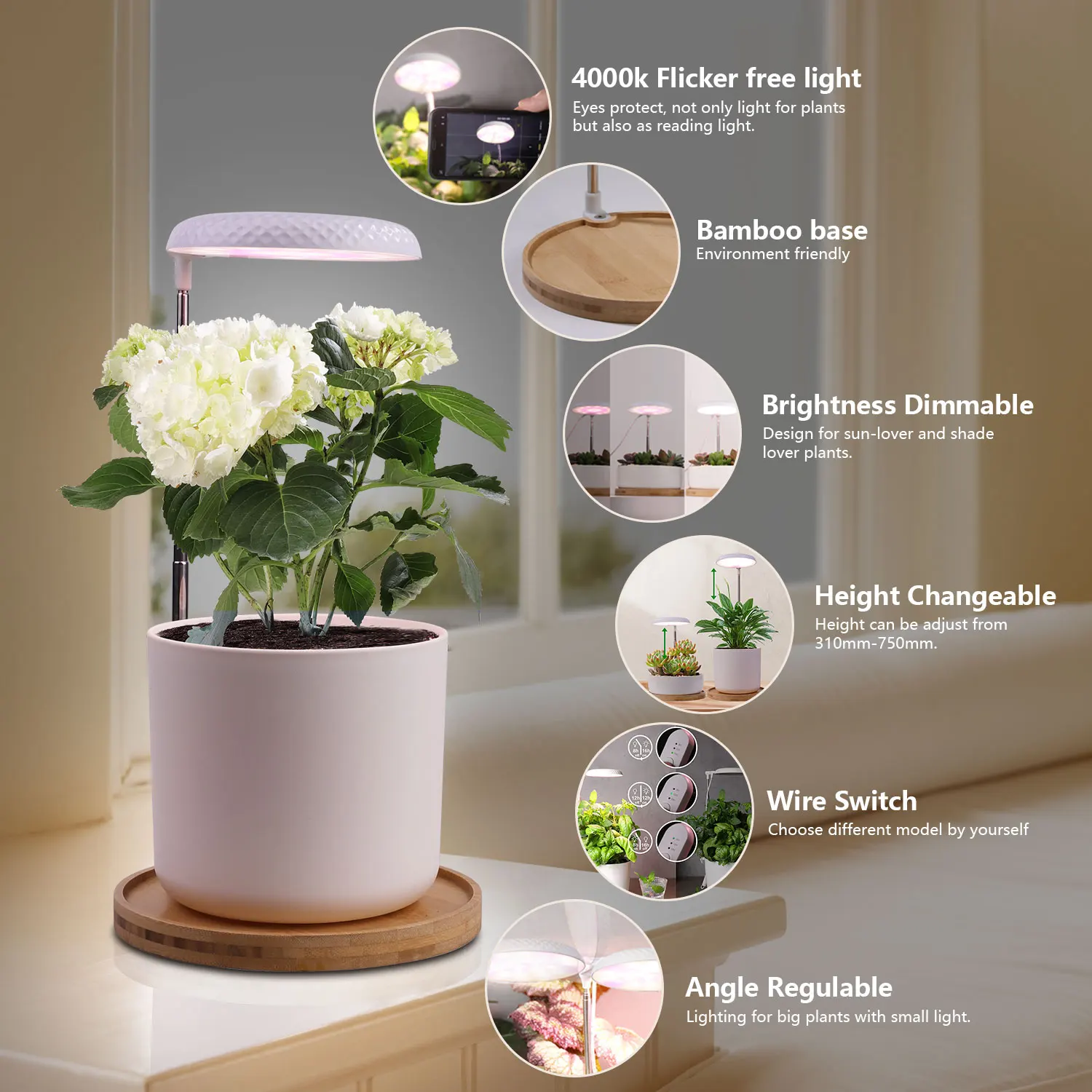 J&C Mini Garden Indoor plants mini Indoor grow lights led spectrum indoor garden