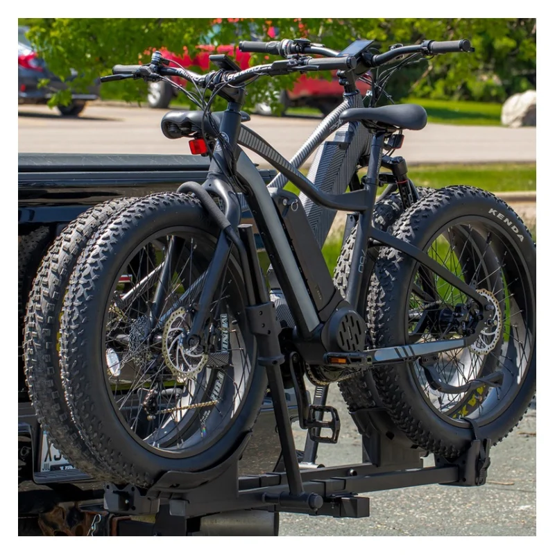 New Arrival Heavy Duty Steel 2 Electric Bike Fat Bike Carrier