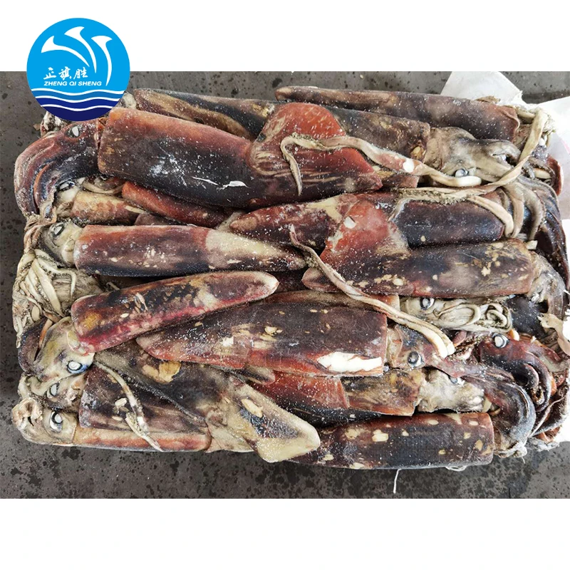 Замороженные тушки круглая Illex кальмар