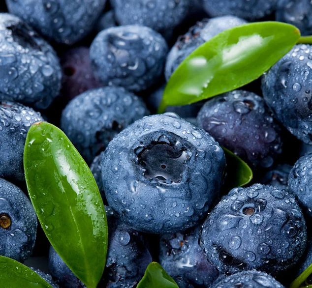 blueberry juice production line