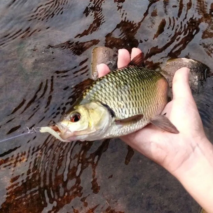 15pcs rooting soft PVC lure hot sale+4pcs lead head fishing hook fish sets soft bait kits