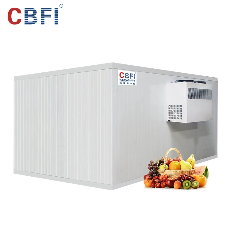 Low Price High Quality Frozen Cold Room/Cold Storage For Meat And Fish