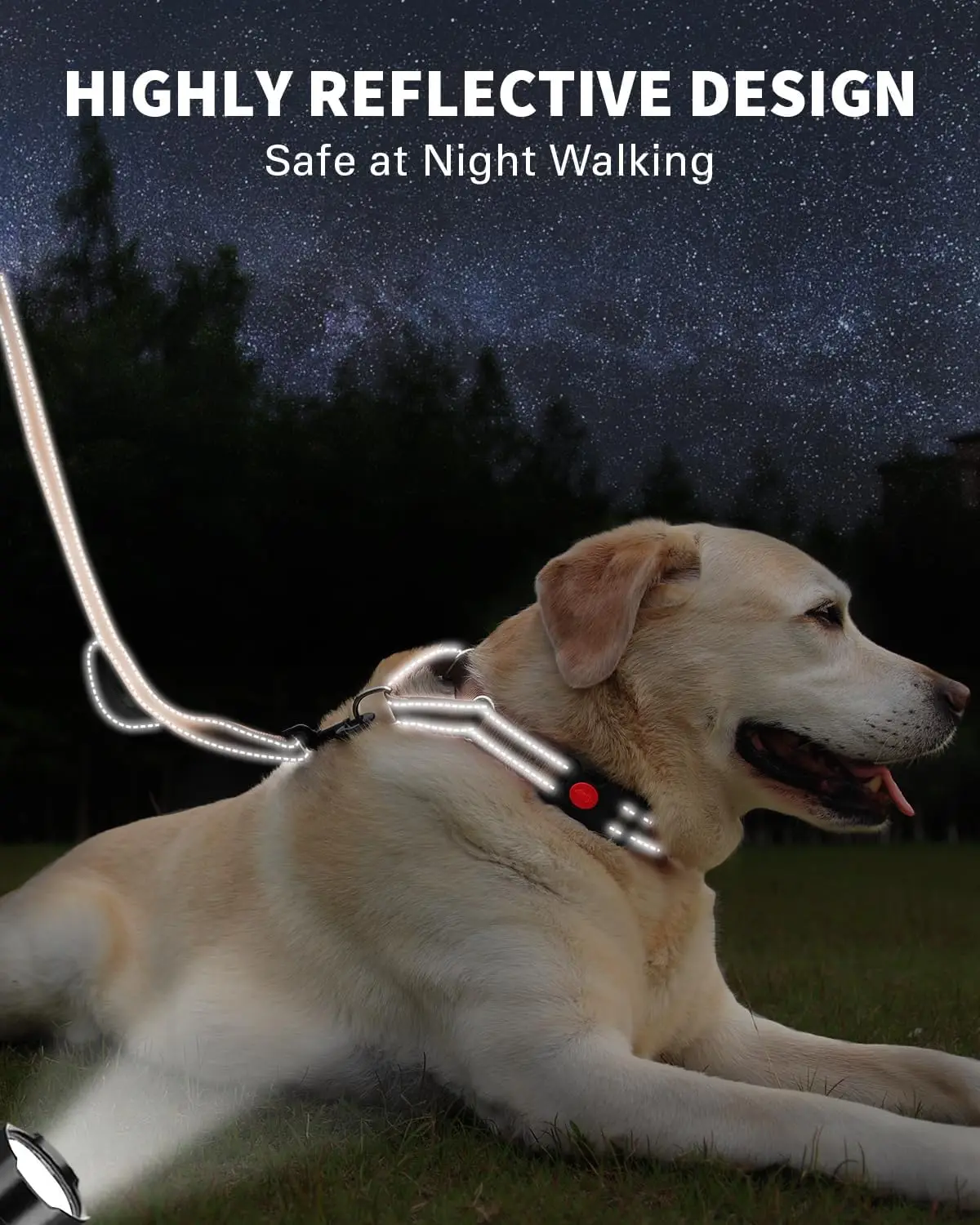 NiBao Custom Double Handle Dog Leash Padded Reflective Martingale Adjustable Dog Collar and Leash Set