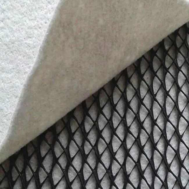 Manufacturer HDPE 3D Salt Barrier Drainage Geonet Geocomposite net for landfill road garden drainage