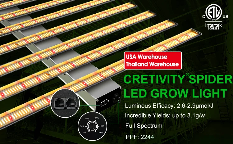 spider grow light (1)