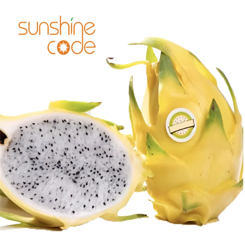 Sunshine Code dragon fruit vietnam fresh yellow dragon fruit for export from vietnam  on sale dragon fruit grading