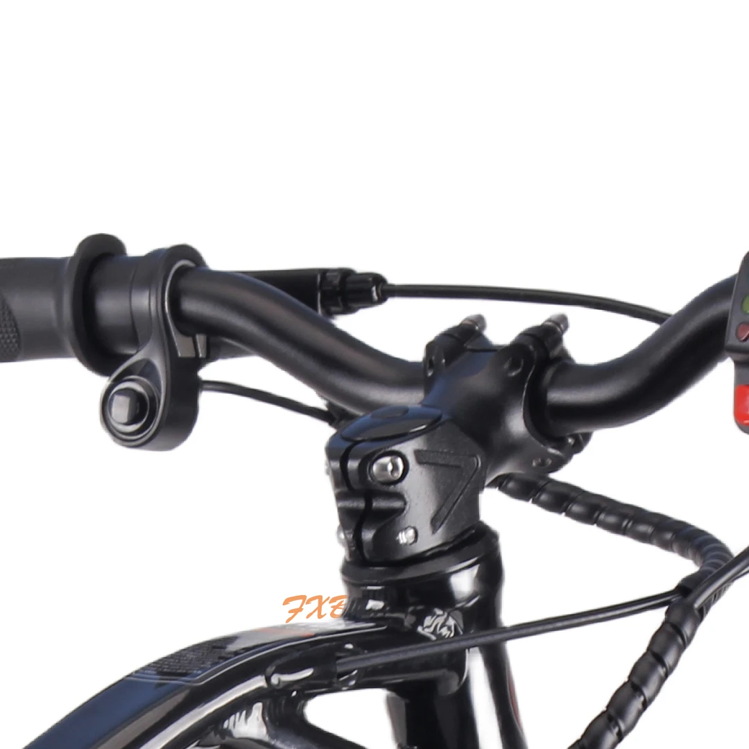 2024 Electric Balance Bike For Kids 12inch 36V 5AH Balance Bike For Kids 2 To 5 Non-Slip Pedal Balance Bike For 5 Year Old Boy