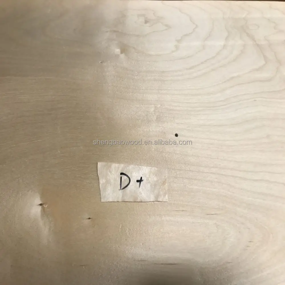 Russia White Birch face  veneer for birch plywood