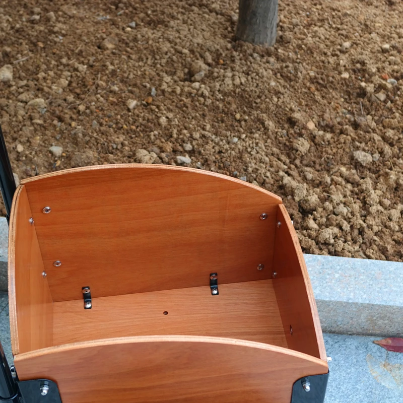 hot sale kids cargo bike 16 inch steel frame with front box  Pedal cargo bike for kids