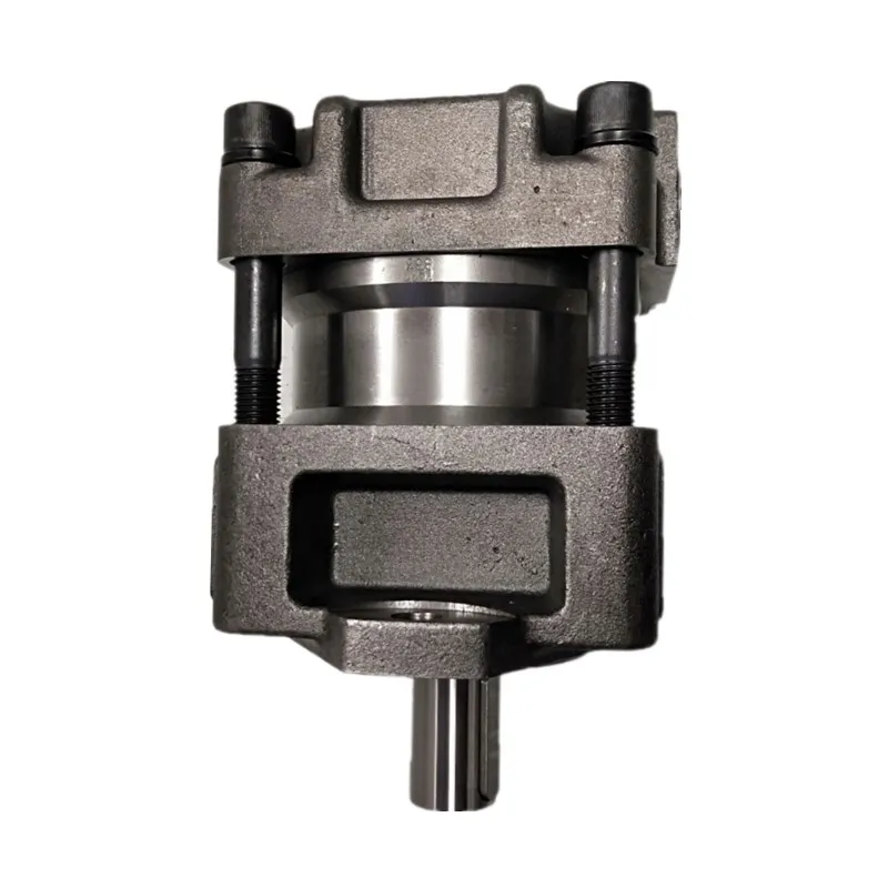 Variable Hydraulic Rotary Double Gear Pump QT62-125F-S1389-A QT21 QT22 QT23 QT31 QT32 QT33 QT41 QT42 QT43 for Sumitomo Series