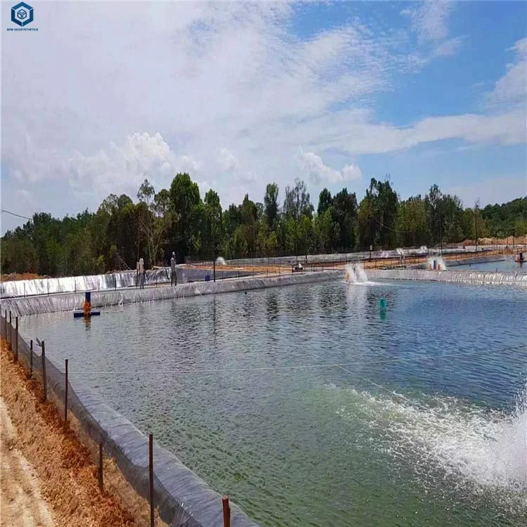 Полиэтиленовый вкладыш для пруда, пластиковый аквариумный полипропиленовый вкладыш для пруда, водонепроницаемый пластиковый лист, геомембрана из полиэтилена высокой плотности для рыбной креветочной фермы