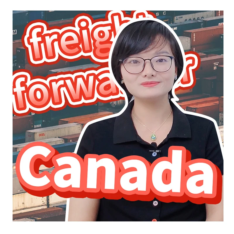 Cheaper Dropshipping To Canada Freight Forwarder To Canada