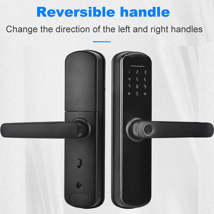 Smart Home Electronic Electric TT APP Wifi Smart Lock Digital Biometric Fingerprint Door Lock