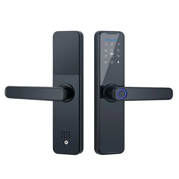 Hot Sale TTlock Tuya APP BLE Passcode Biometric IC Card Electronic Smart Door Lock With Keys