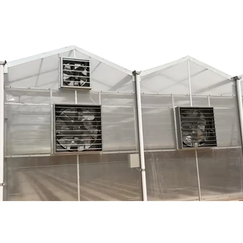 The best sell-after service JIANDA factory  Multi Span Polycarbonate Sheet PC Board Greenhouses Polycarbonate hollow SUNSGH greenhouse SUNSGH