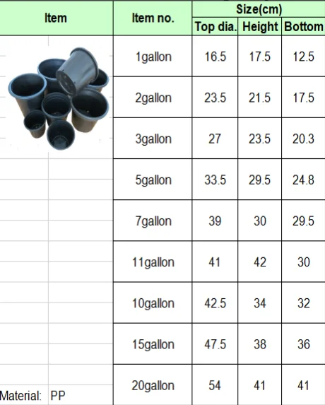 paste-pic-dp_uuid_77lyl