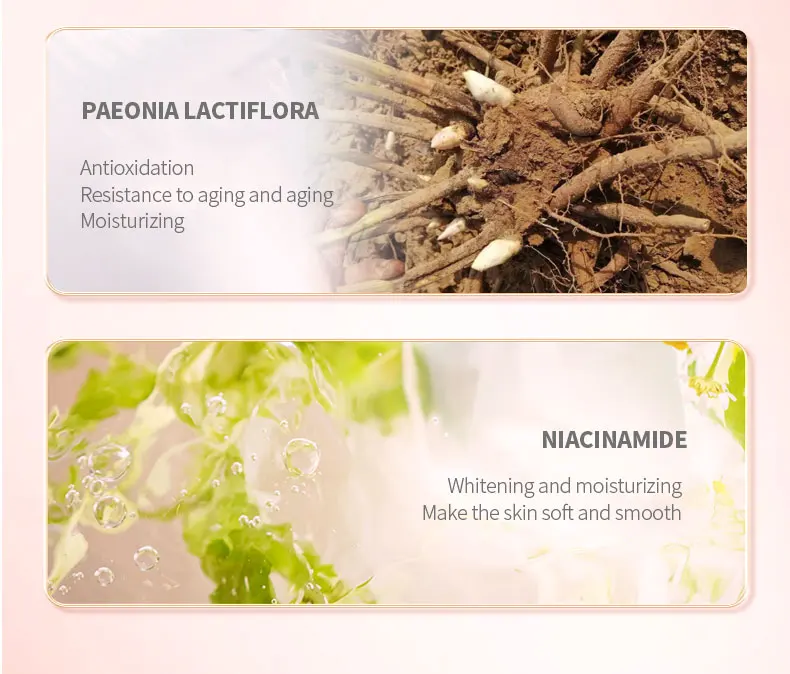 Best Quality New Skin face Serum Hydrating moisturizing reducing fine lines facial skin serum 12