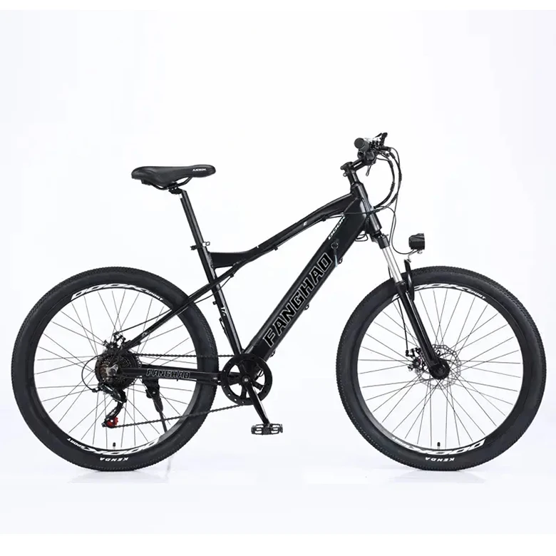 Hot Sell fanghao 26 Inch Step Through E-bike 750W 48V 16AH ebike SHlMANO 7 Speed Folding E Bike 2.125 Tire Electric Bike