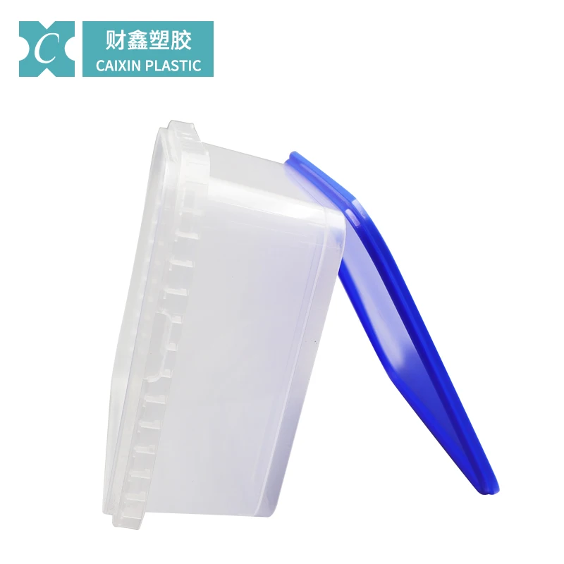 Коробка для упаковки печенья Caixin CX076 2500 мл квадратная форма коробка хранения продуктов