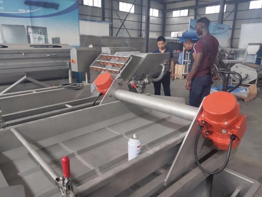 Industrial Air Bubble Vegetable Washing Processing Machine Seaweed Washing Machine
