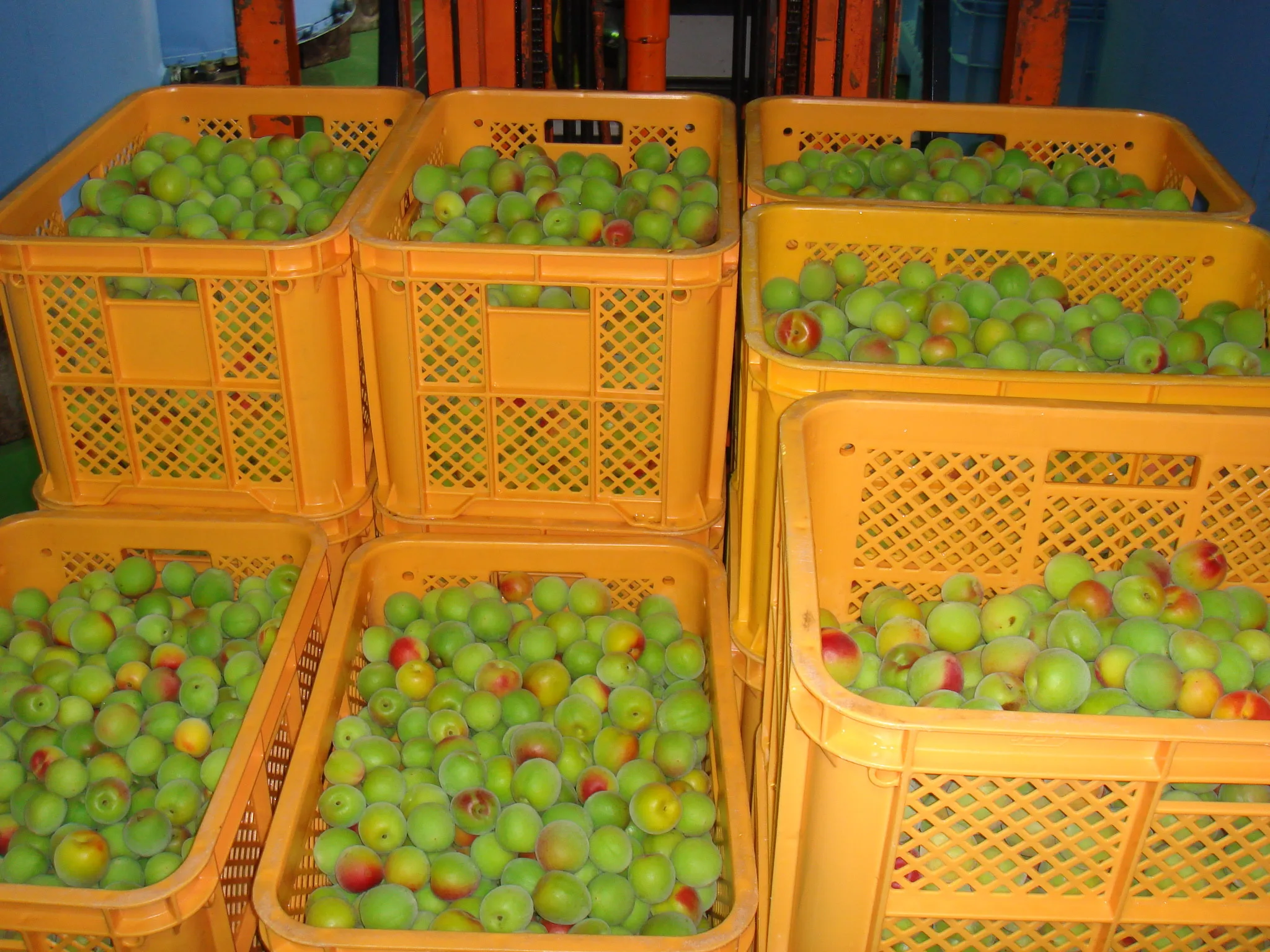 Оригинальная стеклянная бутылка Umeshu ручной работы 15% алкоголя