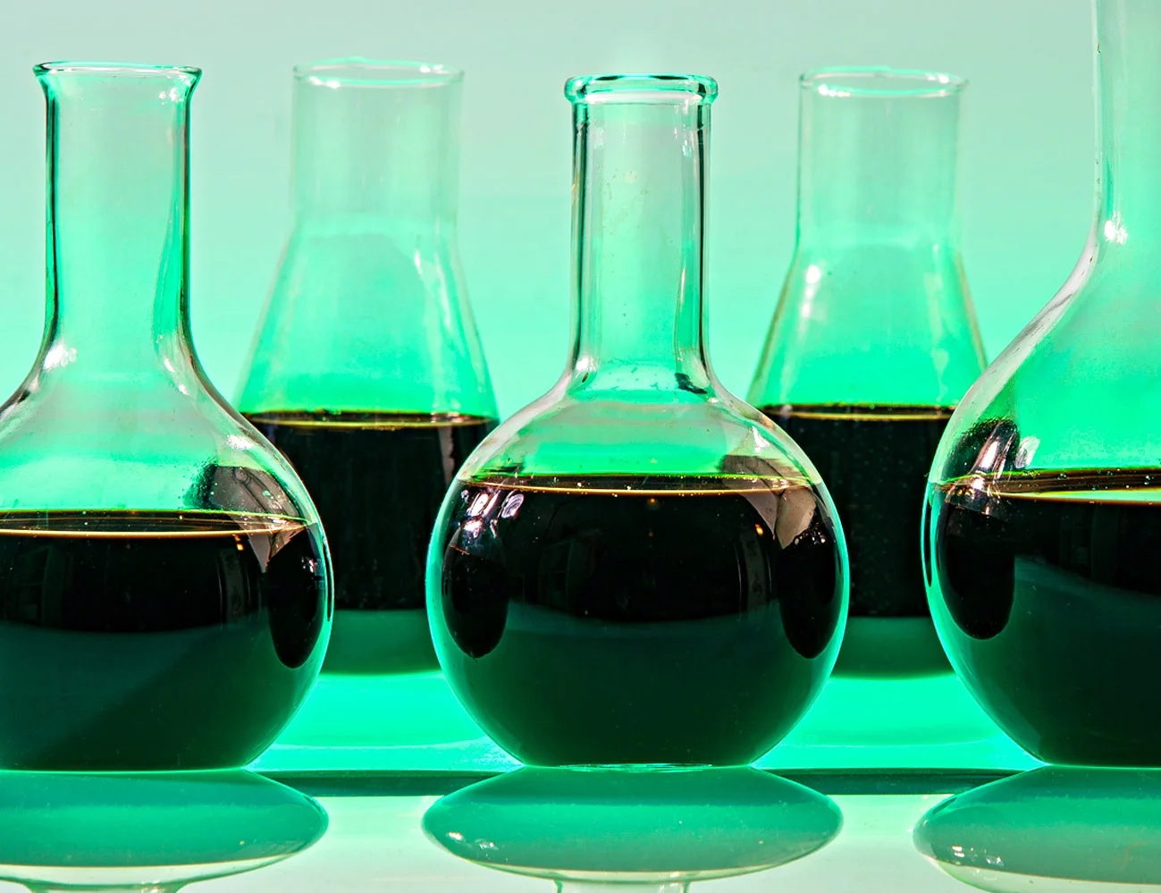 EKOR Humic Acid Liquid Organic Fertilizer for maize