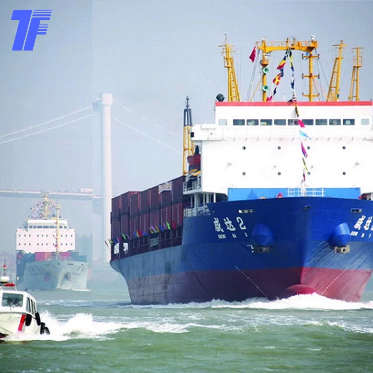 Most Valuable Sea Shipping Agent fast sea shipping from China to Chile Port to Port best shipping service