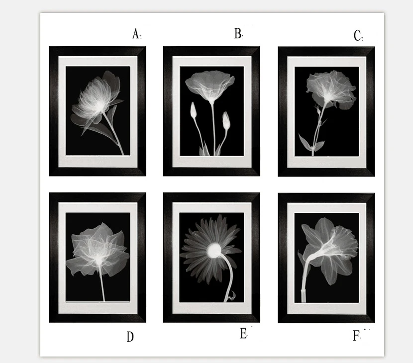 Modern Simplicity plastic decoration painting living room sofa background wall hanging black white photo picture frame