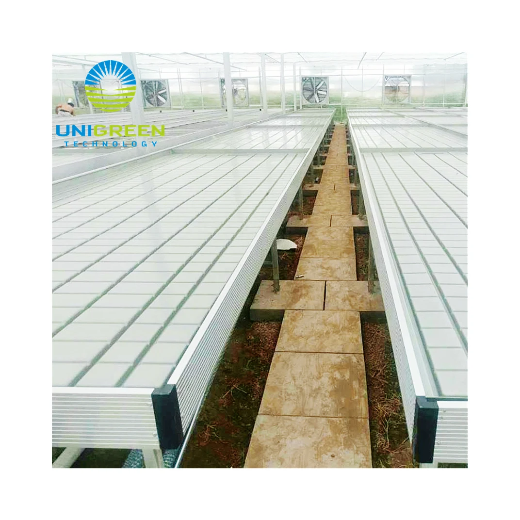 Quality Assurance Greenhouse ABS Tray Rolling Bench EBB and Rolling Table For Medical Plants and Flowers