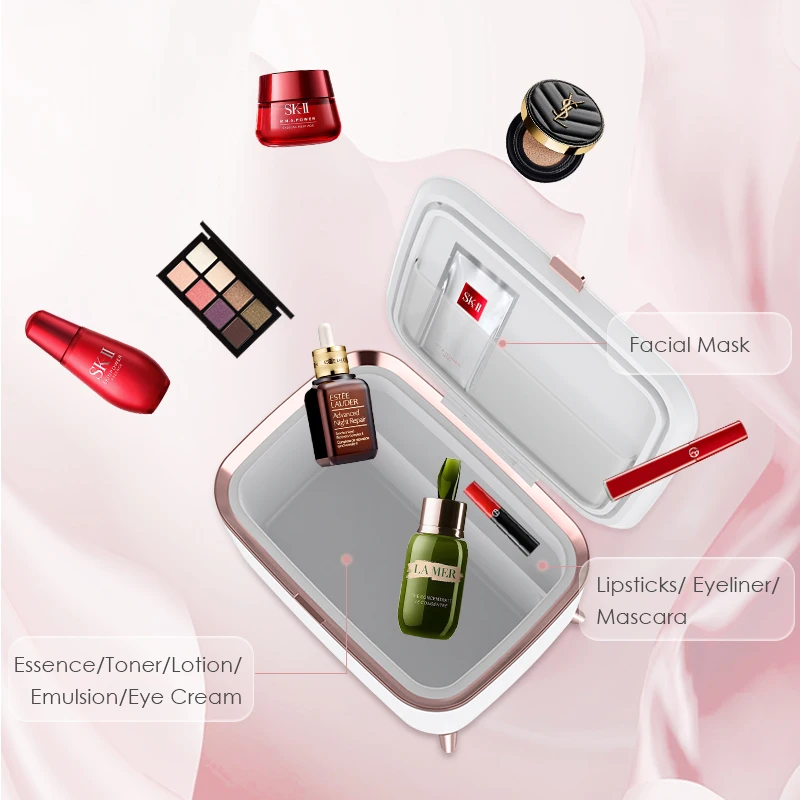 Wholesale 6 Litre Mini Skin Care Fridge Makeup Fridge Refrigerator