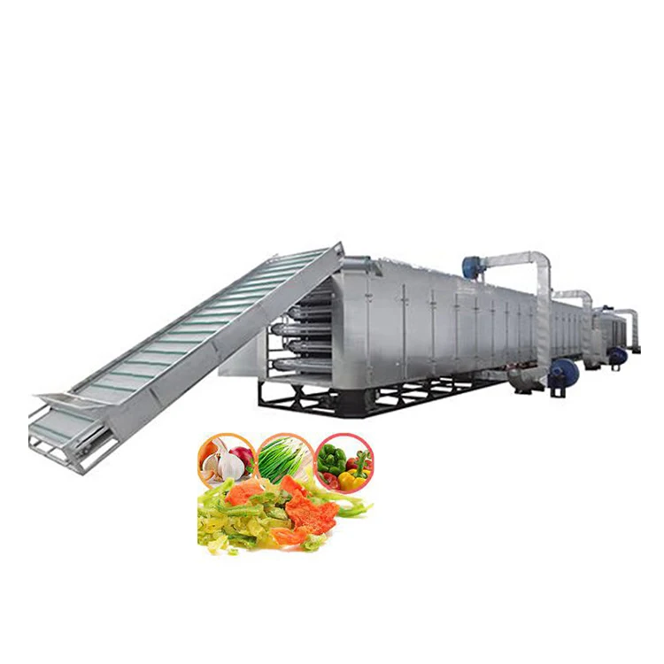 vegetable mesh belt dryer