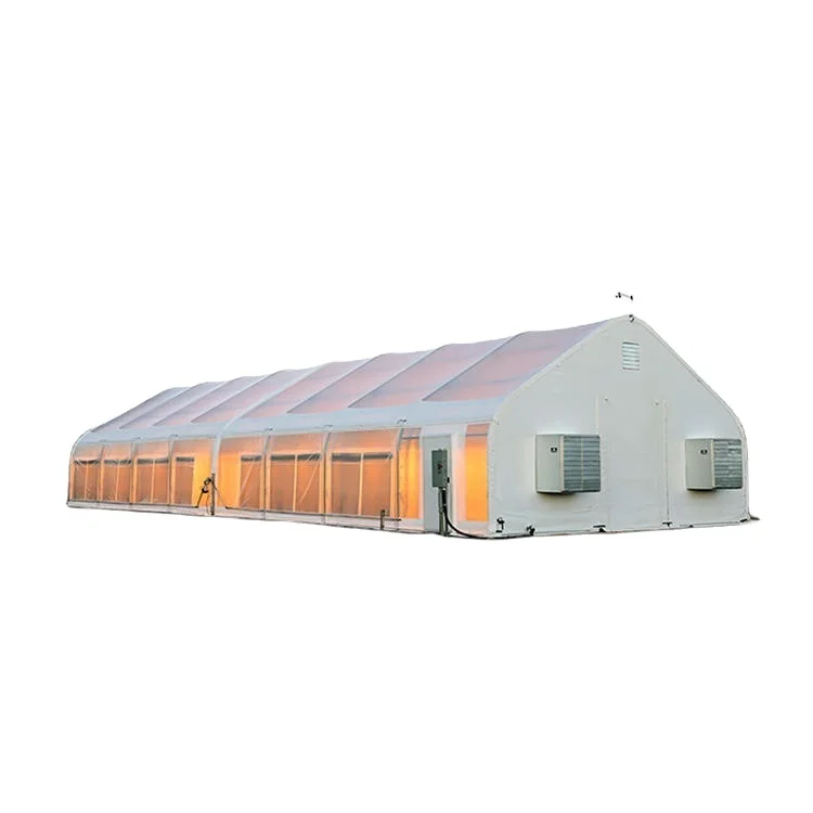 FM Cheapest Mini Single-span Poly Tunnel Agriculture Green House Vegetable High Polythene Tunnel Garden Greenhouse for Tomato